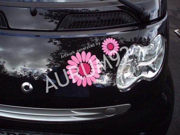 Daisy Car Sticker Choose Your Own Colours - Image 2