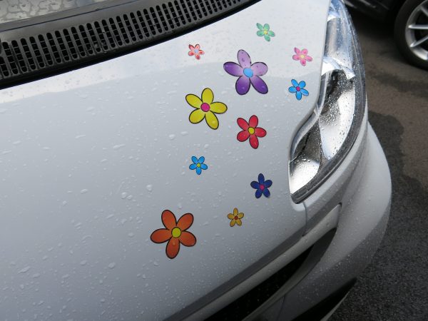 Multi Coloured Funky Daisy Car Stickers - Image 6