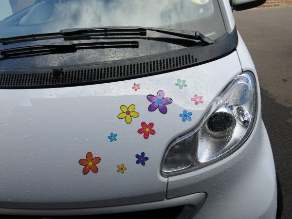 Multi Coloured Funky Daisy Car Stickers - Image 5