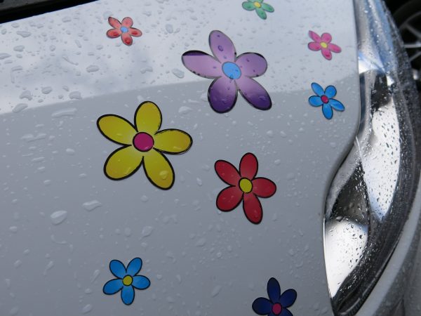 Multi Coloured Funky Daisy Car Stickers - Image 4