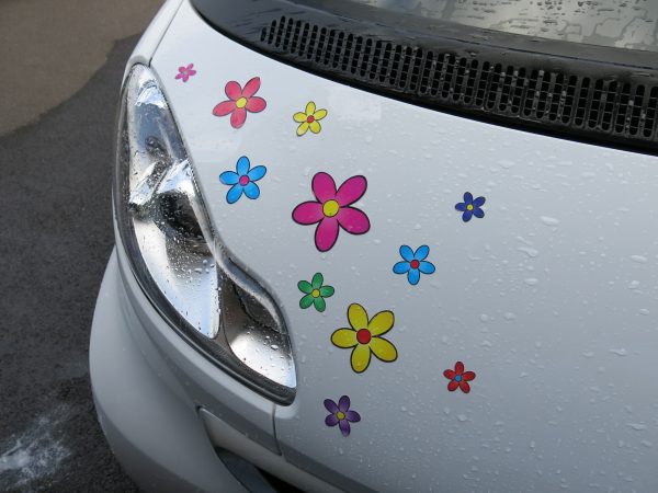 Multi Coloured Funky Daisy Car Stickers - Image 3