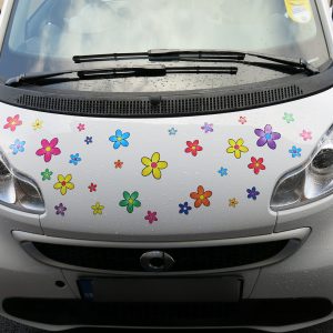 Multi Coloured Funky Daisy Car Stickers