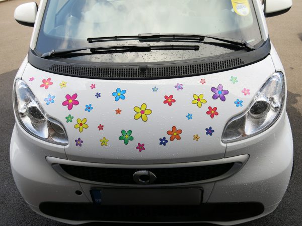 Multi Coloured Funky Daisy Car Stickers