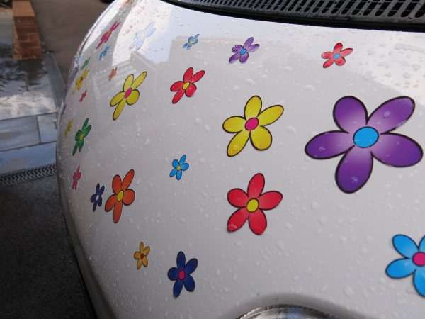 Multi Coloured Funky Daisy Car Stickers - Image 8