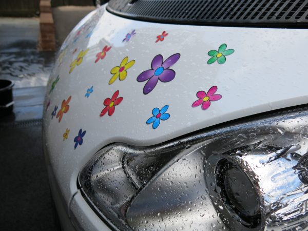 Mehrfarbige Funky Daisy Autoaufkleber - Image 7