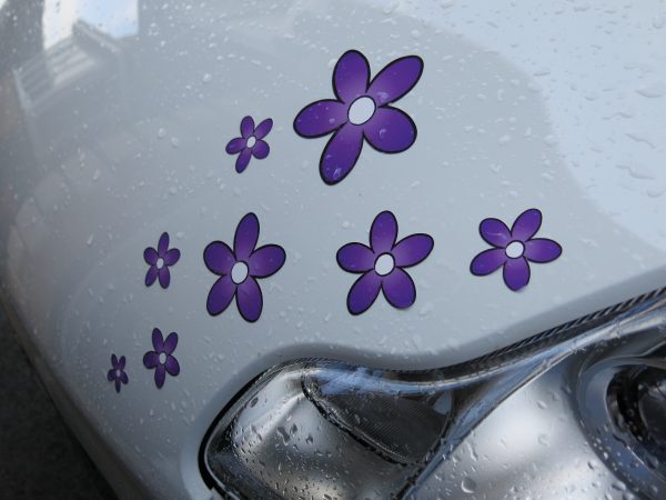 Lila Blumen Gänseblümchen Aufkleber - Image 4