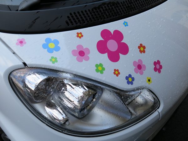 Mehrfarbige Aufkleber in Gänseblümchen-Design - Image 3