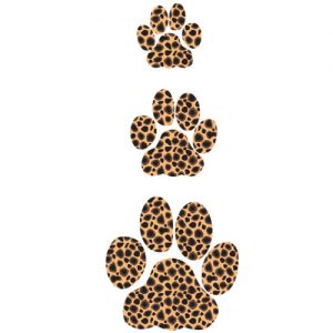 Leopard Paw Prints External or Internal Use
