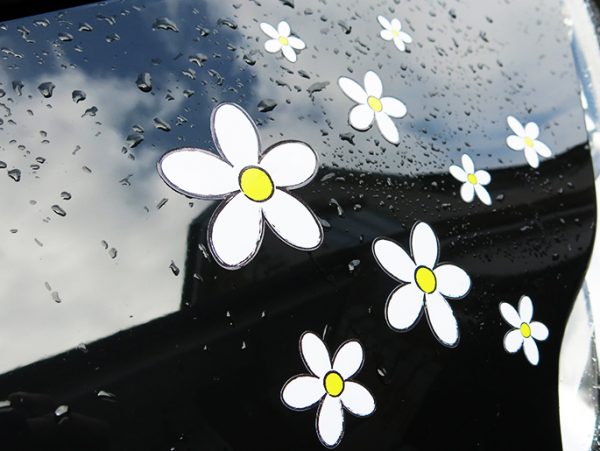 White Daisy Stickers x30 - Image 7