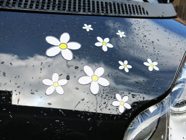 White Daisy Stickers x30 - Image 6
