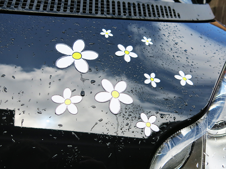 Hundeaufkleber Shop  Blüten Motorhaube Autoaufkleber