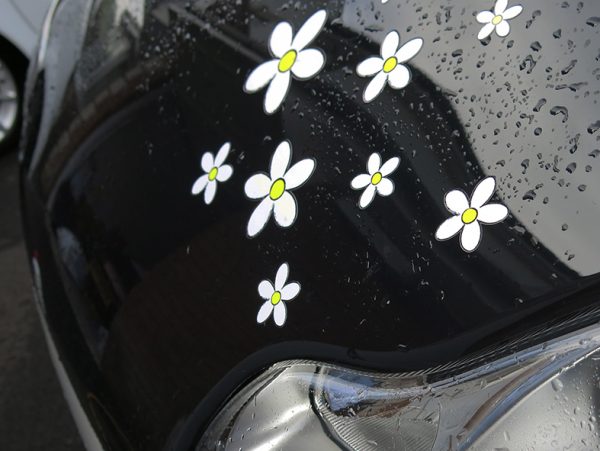 White Daisy Stickers x30 - Image 5