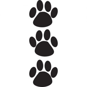 Cat Paw Prints Bumper Pack Car Stickers - a set of 64