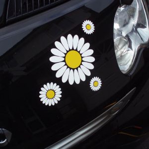 White Daisy Car Sticker Set