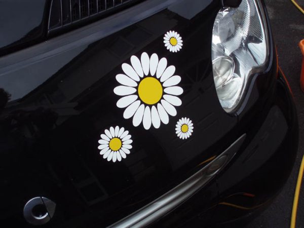 White Daisy Car Sticker Set