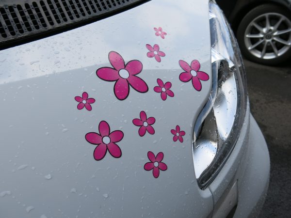 Pink Daisy Stickers - Internal or External - Image 2