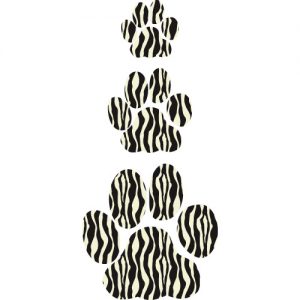 Zebra Paw Prints