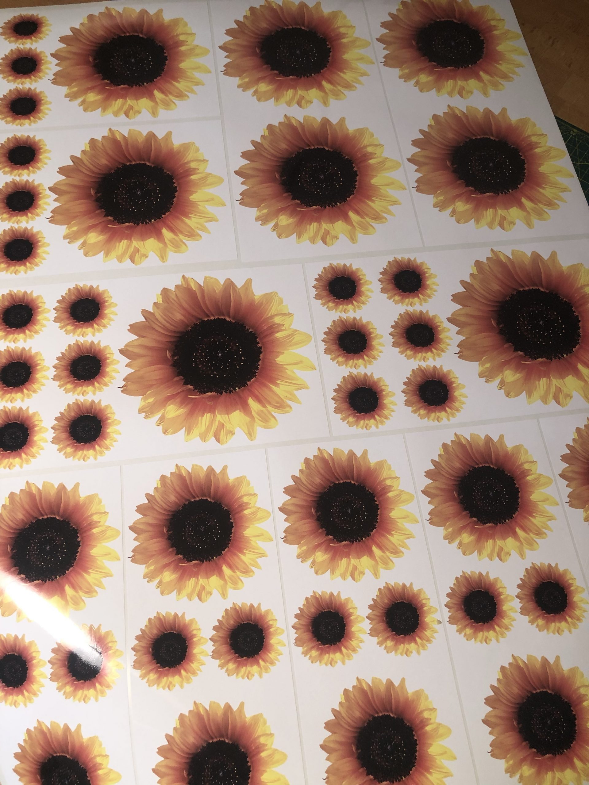 LARGE Pack of Sunflower Stickers New Design - Image 6