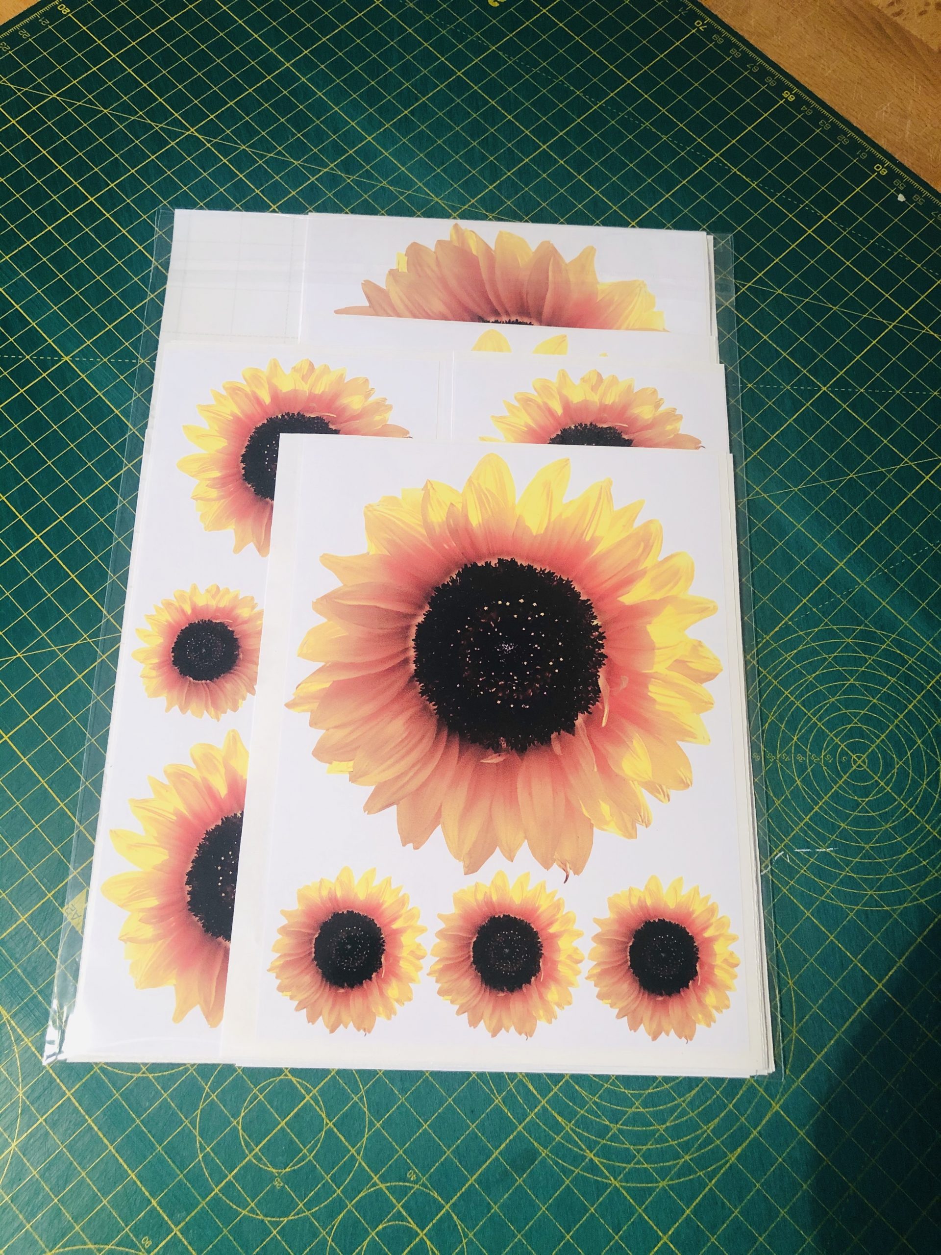 LARGE Pack of Sunflower Stickers New Design - Image 8