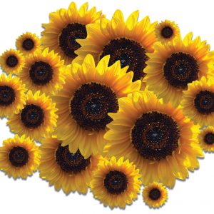 LARGE Pack of Sunflower Stickers New Design