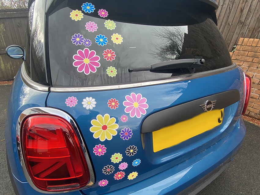 Daisy Car Stickers - Lovely lots of colours
